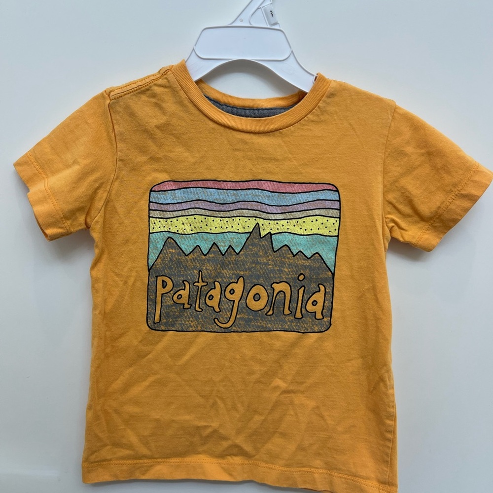 Patagonia Kids' Mustard Graphic Tee